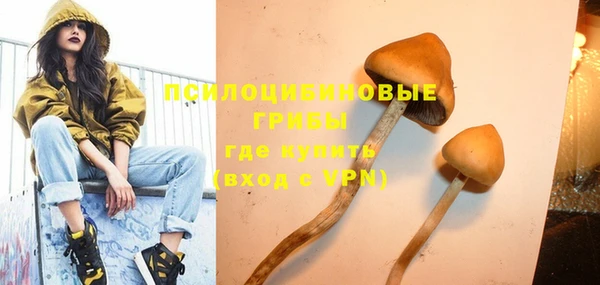 таблы Белокуриха