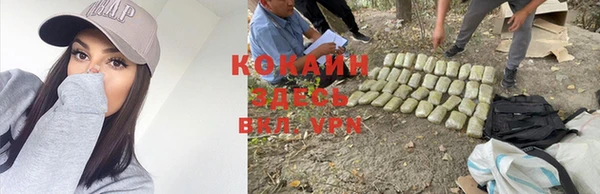 таблы Белокуриха