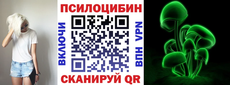 где купить   Кулебаки  Псилоцибиновые грибы Cubensis 